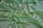 Шелк натуральный салатовый (г-204)