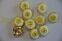 Пуговицы желтые в стиле Шанель (д-1241)